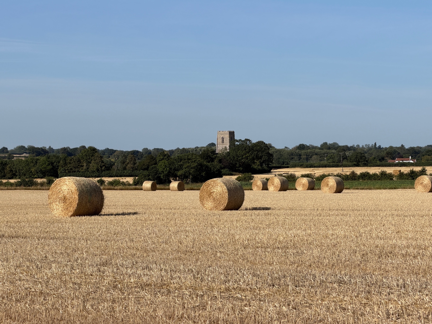 South Norfolk
